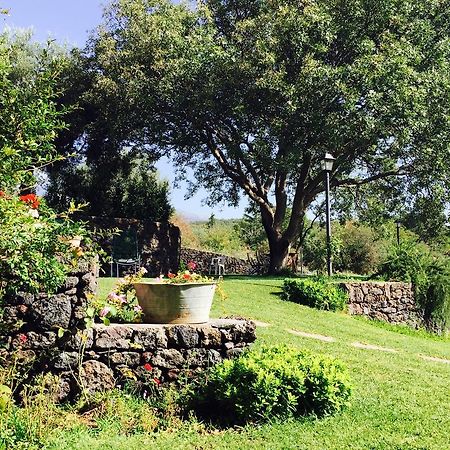 B&B Etna 1703 Belpasso Zewnętrze zdjęcie