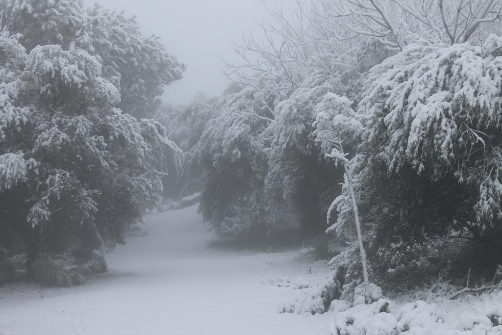 B&B Etna 1703 Belpasso Zewnętrze zdjęcie